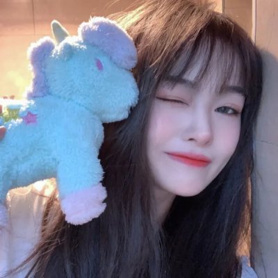 狮子与我海报